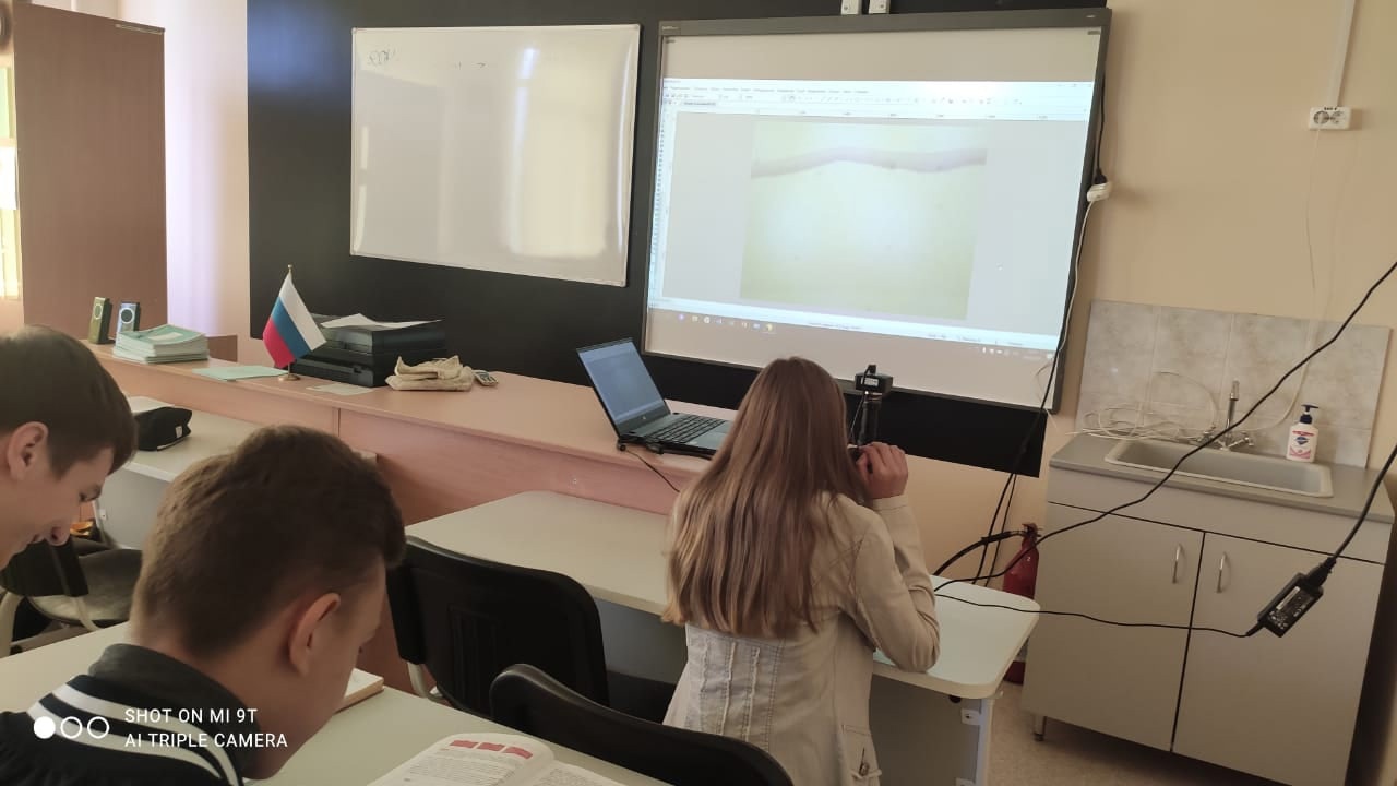 Лабораторная работа по биологии, в центре ТОЧКА РОСТА с применением цифрового микроскопа.